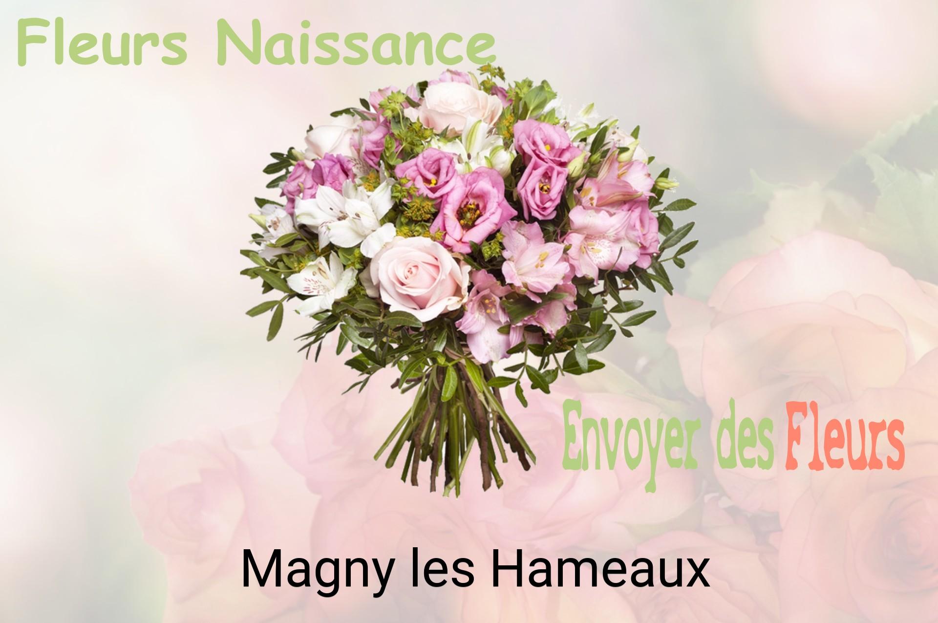 Bouquet de fleurs de naissance livré à Magny-les-Hameaux