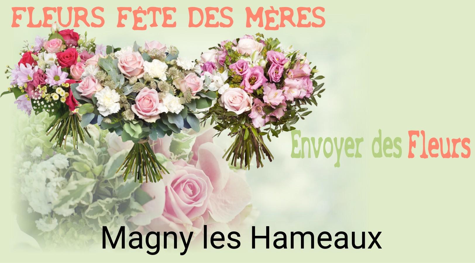 Bouquet de Fête des Mères livré à Magny-les-Hameaux